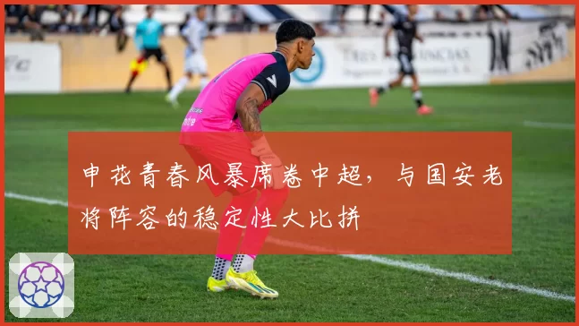 申花青春风暴席卷中超，与国安老将阵容的稳定性大比拼