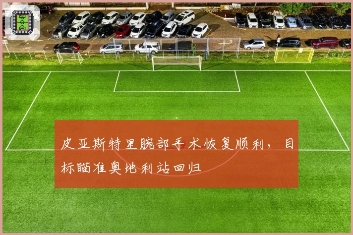 皮亚斯特里腕部手术恢复顺利，目标瞄准奥地利站回归