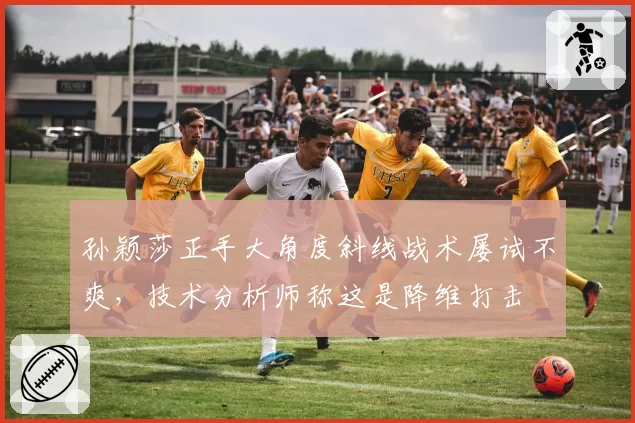 孙颖莎正手大角度斜线战术屡试不爽,技术分析师称这是降维打击